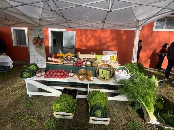 Carinola: dall&rsquo;agricoltura nuove opportunit&agrave; per i detenuti