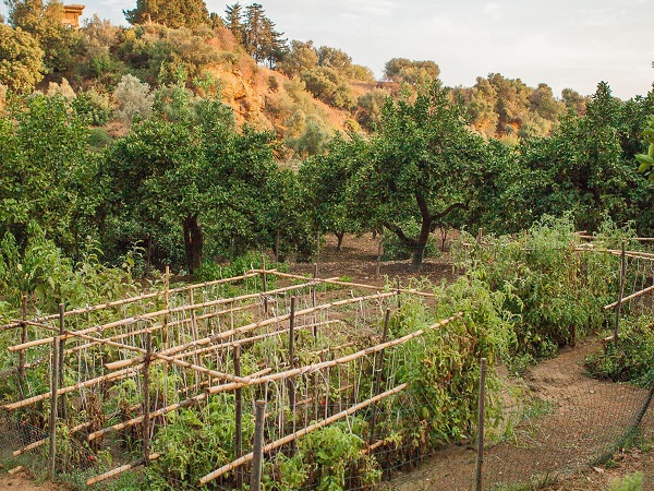 Giardini Kolymbethra, valle dei Templi Agrigento (Credit: Fondo ambiente italiano)