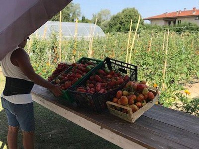Dog, Dap e Dgmc: avvisi per progetti e immobili