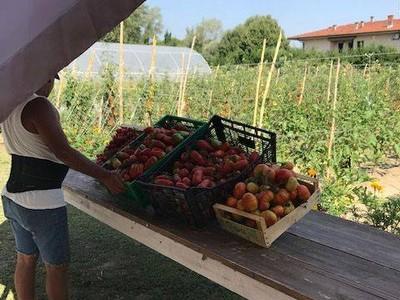 Dog, Dap e Dgmc: avvisi per progetti e immobili