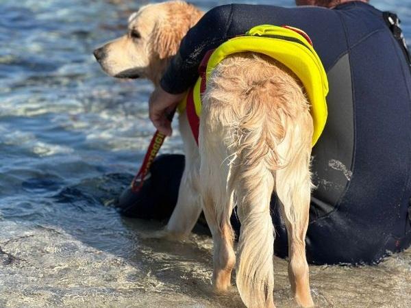 Iniziativa a Pianosa 'Un ponte d'acqua e di terra'