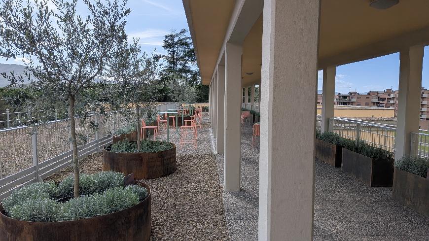 Tribunale Arezzo inaugurazione Roof garden