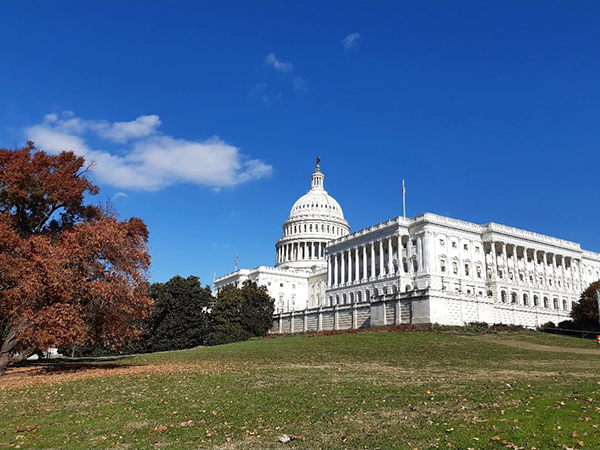 washington dc