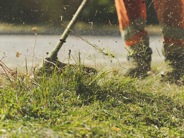 Lavori pubblica utilit&agrave; aree verdi (Foto Pexels)