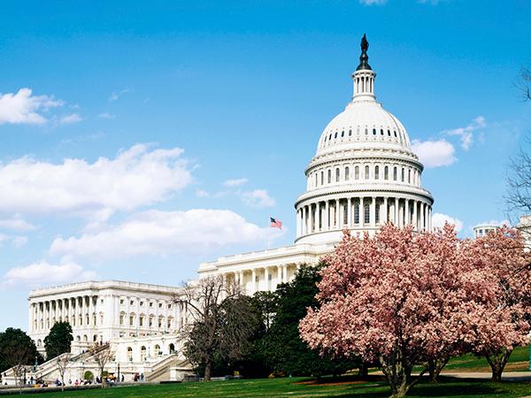 U.S. Capitol Building, Washington D.C. Original image from Carol